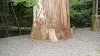 camp26 (476)_thumb.png